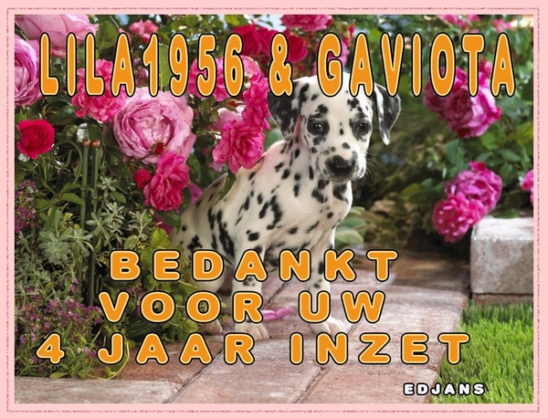 lila1956-&-Gaviota-bedankt-voor-4-jaar-inzet-web
