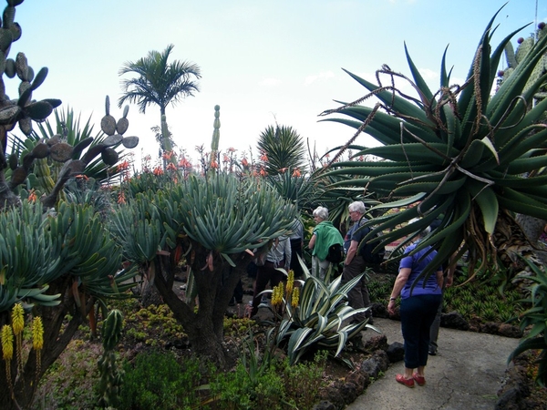 Madeira