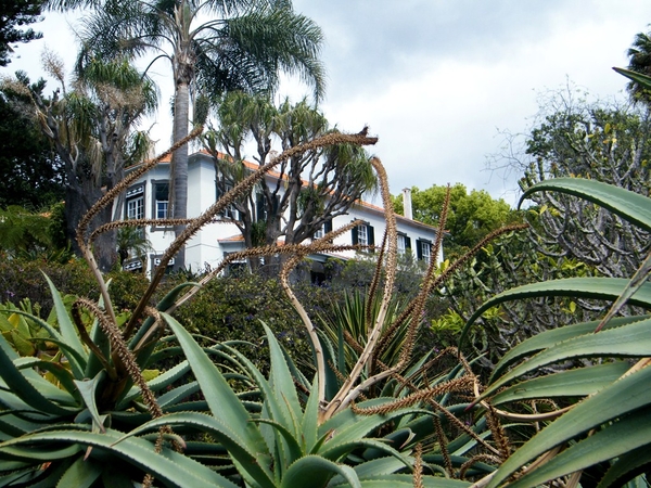 Madeira