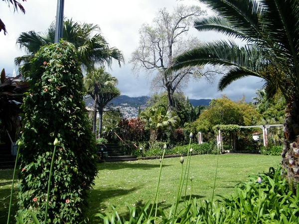 2014_04_22 Madeira 148