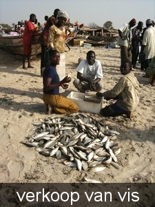 gambia 027