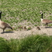 familie op wandel in Bulskamp - mei 2014