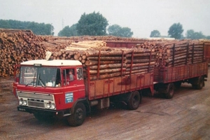 DAF-2600