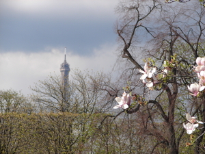 Eerste lenteknoppen in Parijs