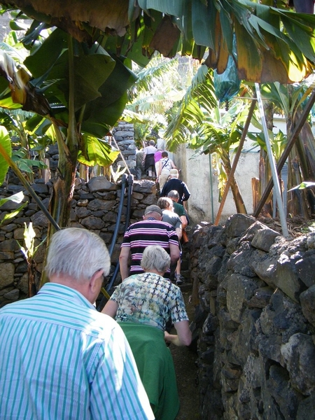 2014_04_25 Madeira 045