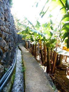 2014_04_25 Madeira 047