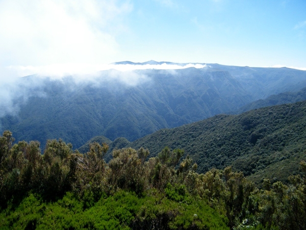 Madeira