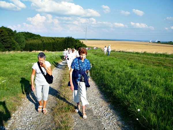 promenade estivale omezee