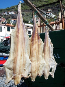 2014_04_26 Madeira 058
