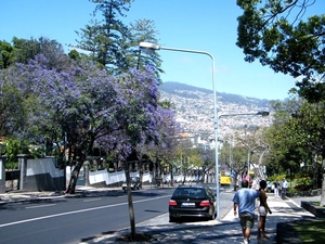 2014_04_27 Madeira 119B
