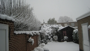 image winter in mijn tuin