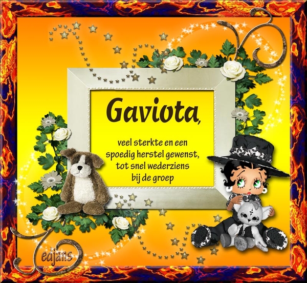 Gaviota-herstel-gewenst-web