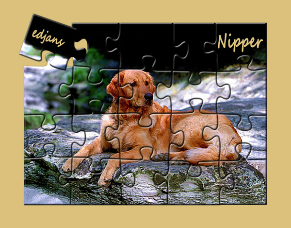 Nipper-gepuzzeld-web