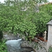 DSC_9421 Mostar - Herzegovina