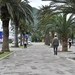 Montenegro Kotor 33 DSC_9532