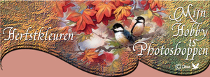 Banner voor facebook ( herfstkleuren)