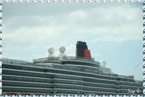 MS Queen Victoria (87)