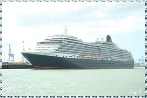 MS Queen Victoria(84)
