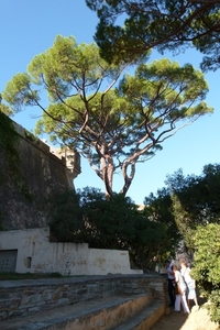 Corsica 2014 032