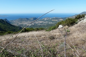 Corsica 2014 058