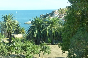 Corsica 2014 081