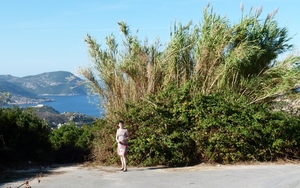 Corsica 2014 092