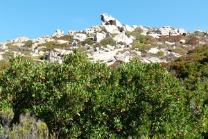 Corsica 2014 095