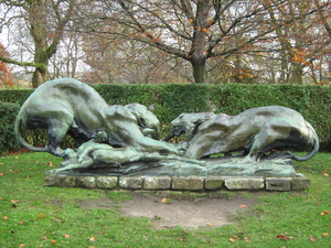 Leeuwen in het park