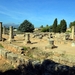 302 Mallorca oktober 2014 - Alcúdia Romeinse opgravingen