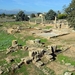 303 Mallorca oktober 2014 - Alcúdia Romeinse opgravingen
