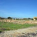 307 Mallorca oktober 2014 - Alcúdia Romeinse opgravingen