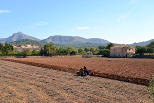 308 Mallorca oktober 2014 - Alcúdia Romeinse opgravingen