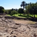 315 Mallorca oktober 2014 - Alcúdia Romeinse opgravingen
