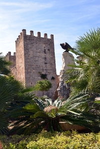 330 Mallorca oktober 2014 - Alcúdia stad