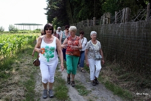 sized_sized_IMG_33451a-KBC senioren wandelen in Asbeek