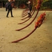 Chrysanten in de Japanse tuin 064