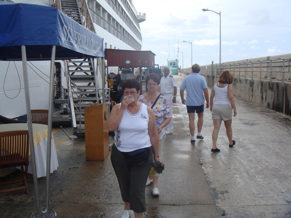 Cruise 11- 08 065