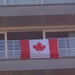 En overal de vlag van Canada