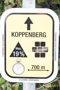 Koppenbergcross 2014IMG_0631-0631