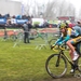 FLANDRIENCROSS HAMME 2014-4126