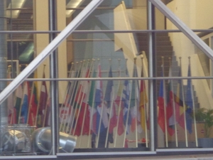 Europese vlaggen in het Europees Parlement