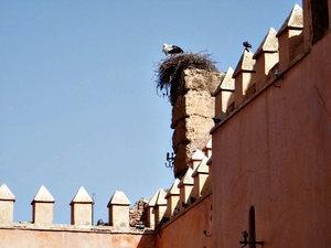 2014_10_19 Marokko 037