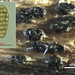 Pleospora-herbarium-Kaal-muurspoorbolletje_20141211MH
