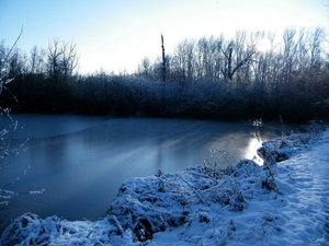 2014_12_28 Denderleeuw 09