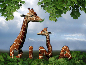 Giraf Giraf tekst pure improvisaties