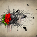 create an emotional abstract photoshop manipulation of a rose pho