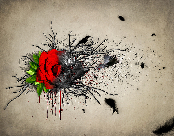 create an emotional abstract photoshop manipulation of a rose pho