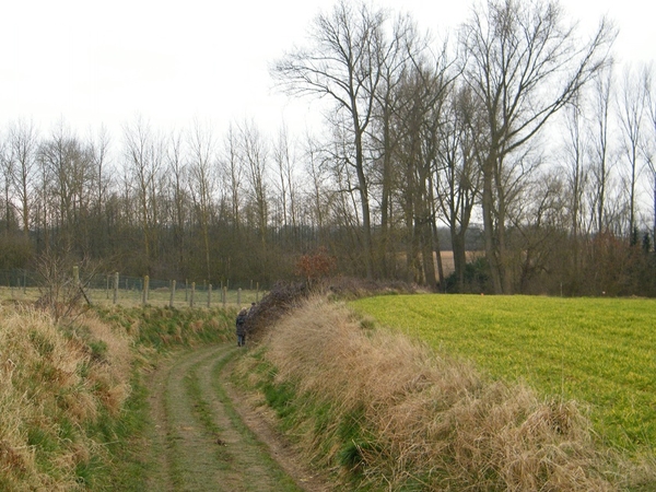 aktivia wandeling denderhoutem