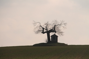 Winterwandeling Blok 9 22 februari 2015 017