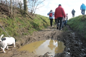 Winterwandeling Blok 9 22 februari 2015 021